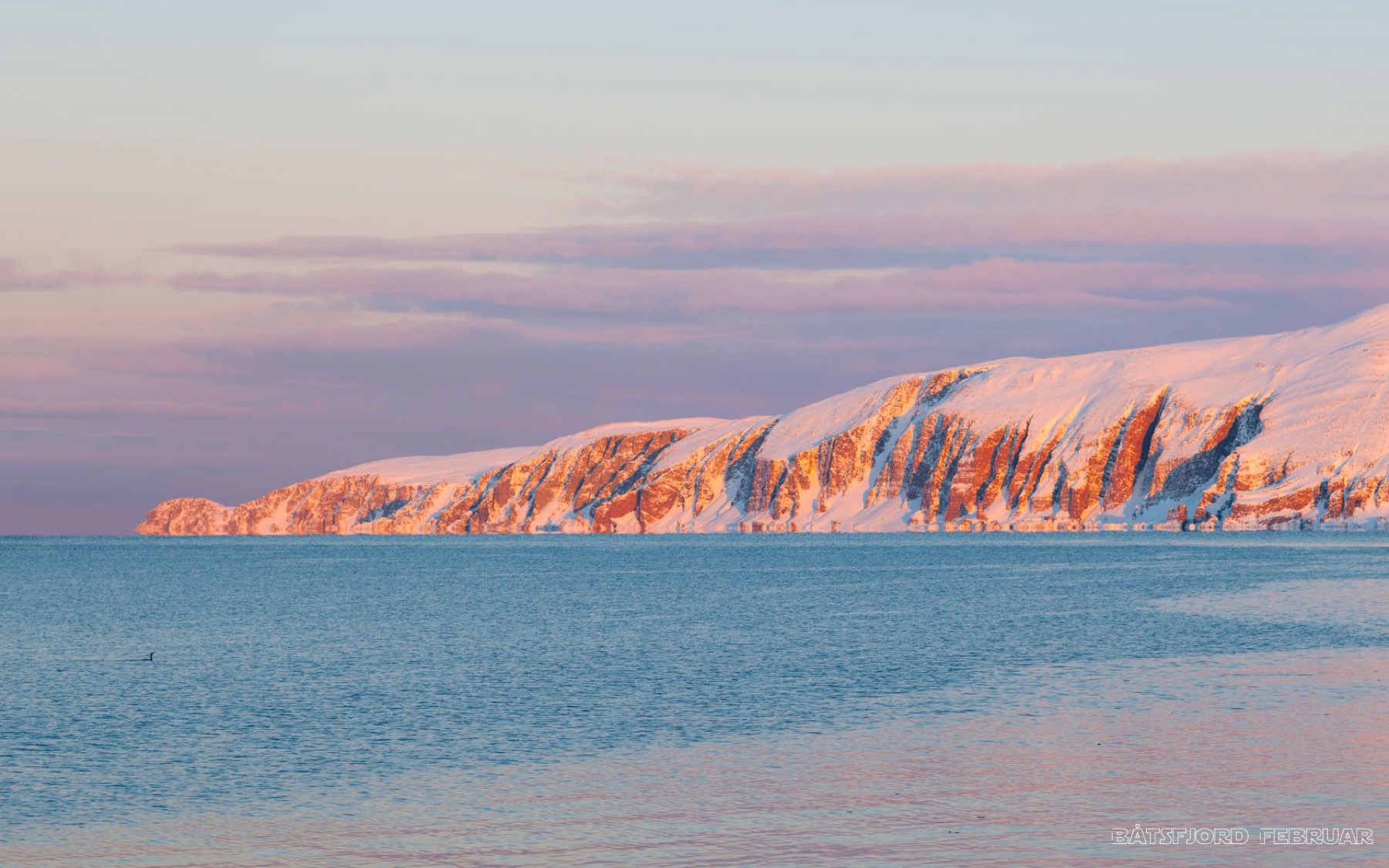 Snødekte fjell i rosa vinterlys over havet.