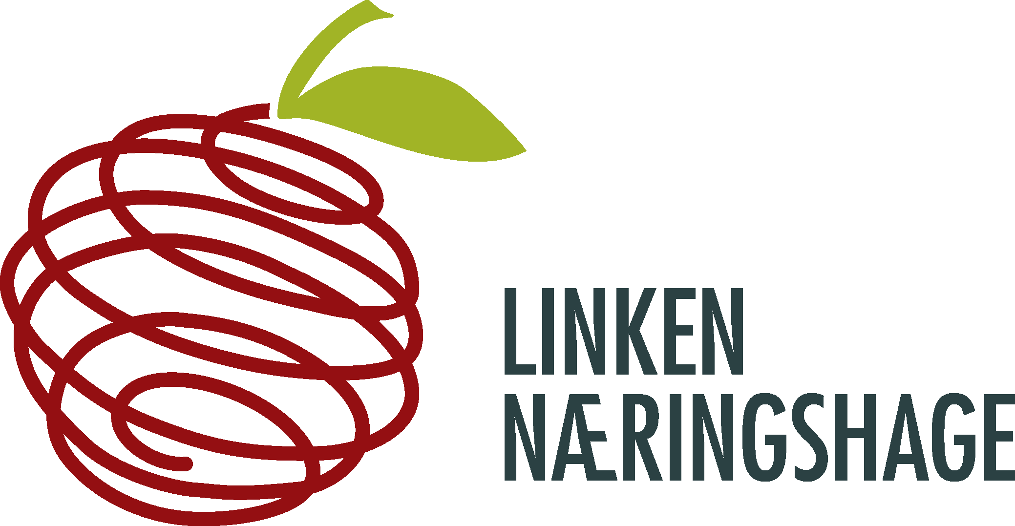 Linkwen Logo