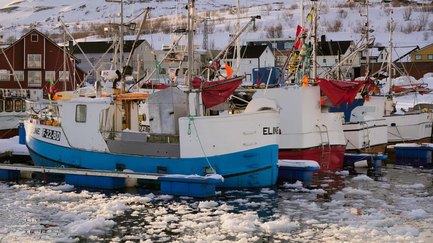 Hva skjer i Båtsfjord
