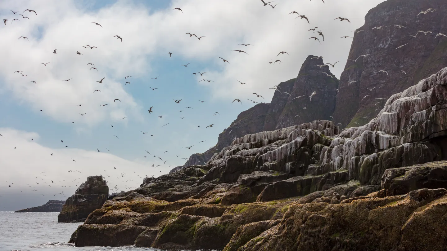 Fiskerihovedstaden, Varanger, Båtsfjord 